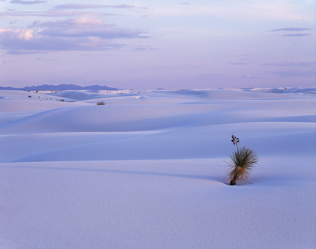 White sands NM