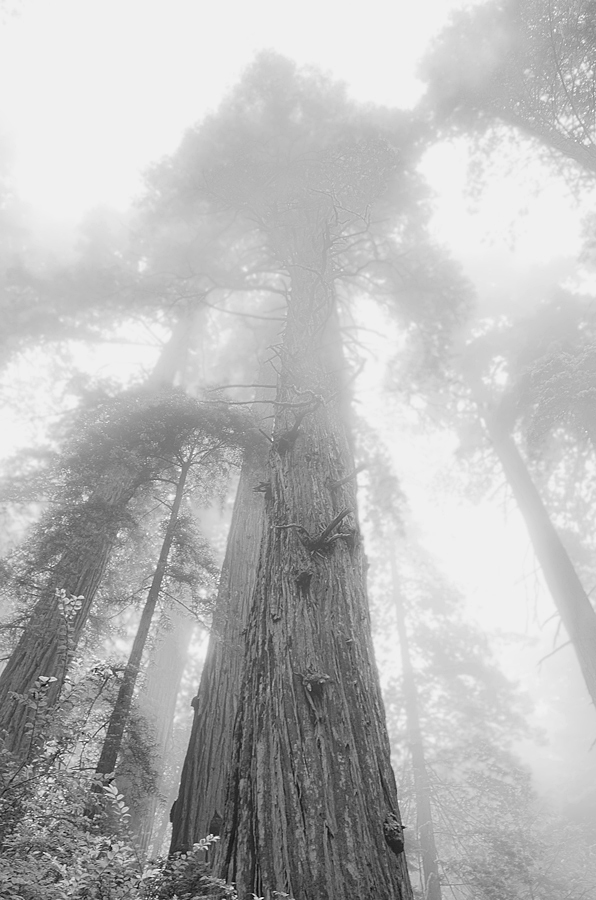 Misty Heights + Repost