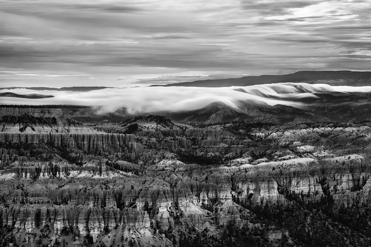 Bryce River of Fog 