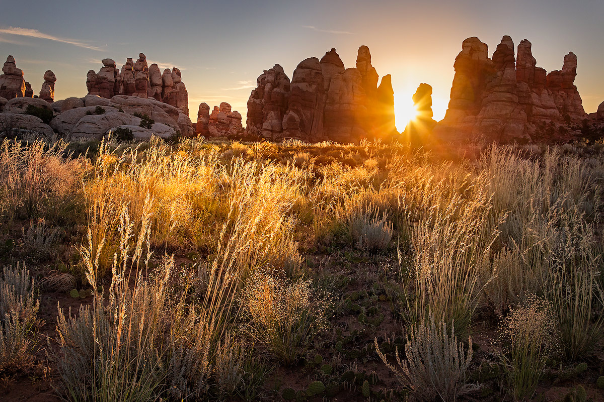 Sentinel Sunrise