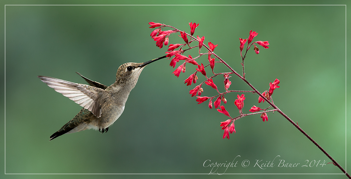 And…. Another Hummer