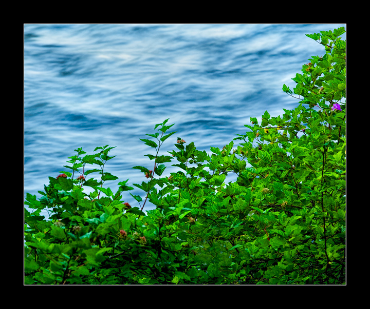 Along the Metolius River