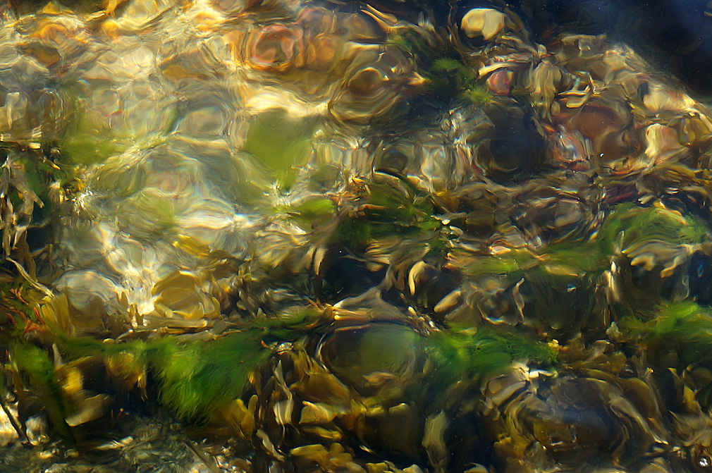 Glassy WC 642