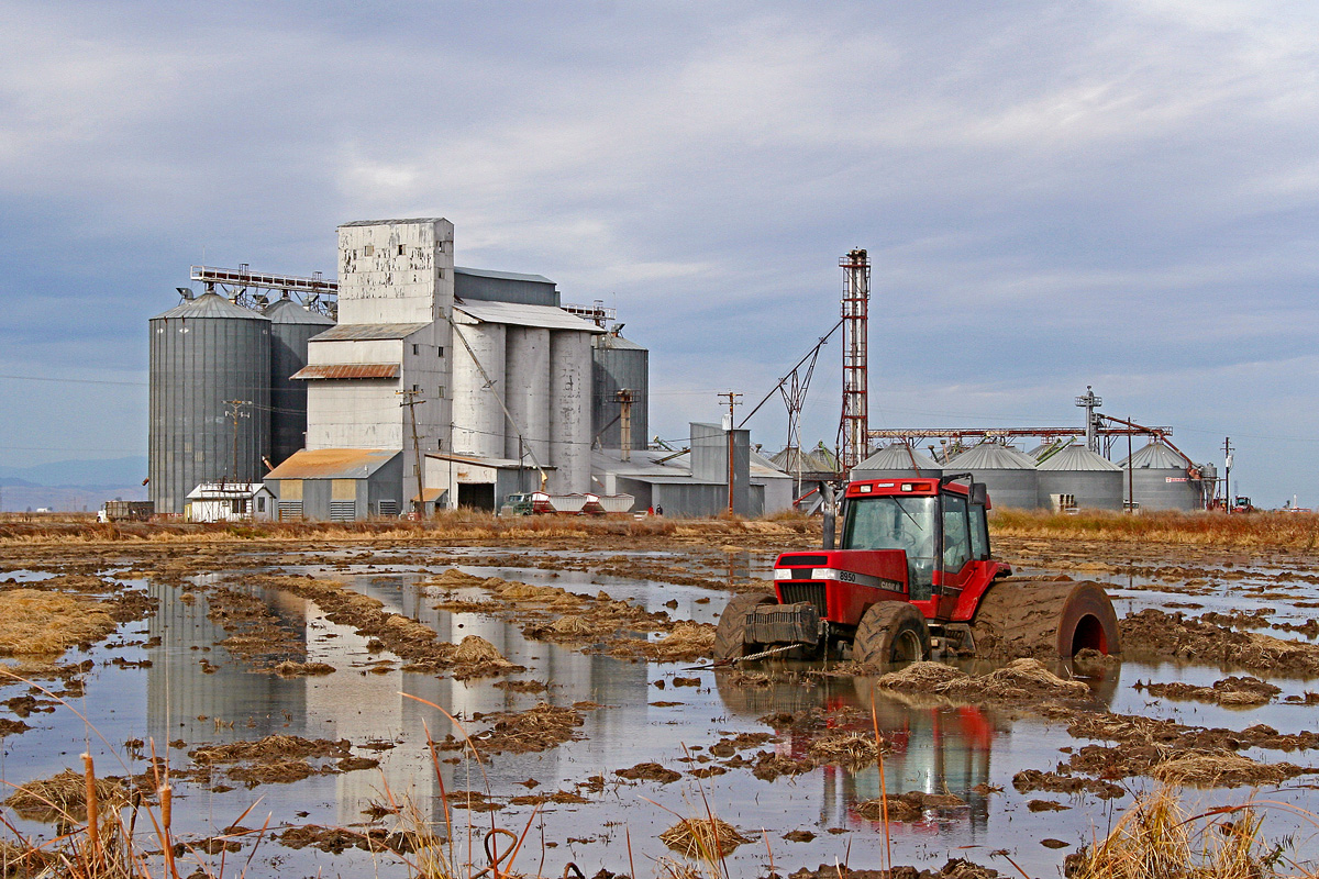 Stuck in the Mud WC 643