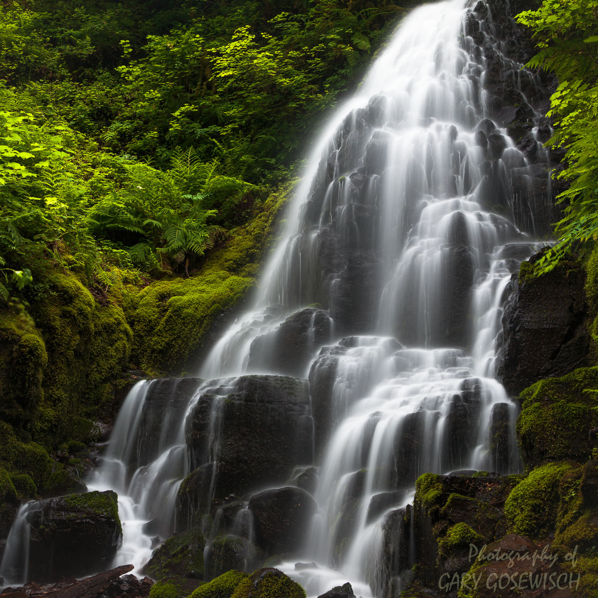 Fairy Falls