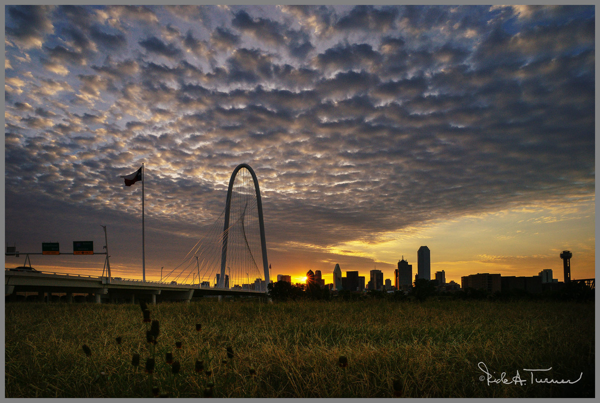 Dallas Sunrise