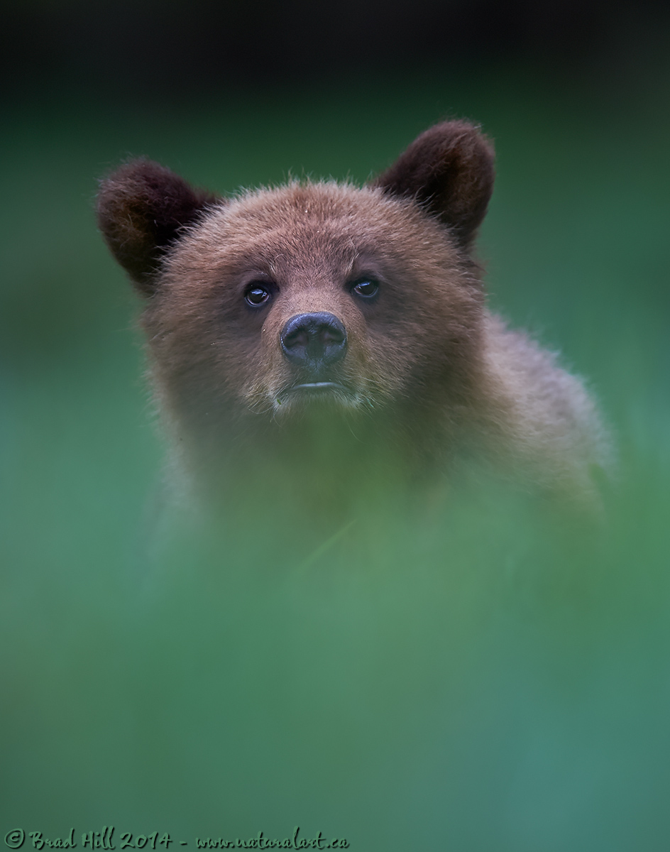 Inquisitive...