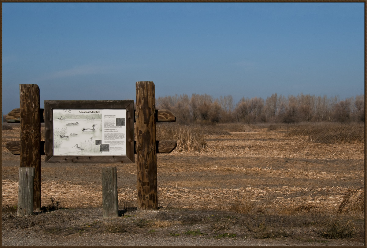 WC#643 - wetlands