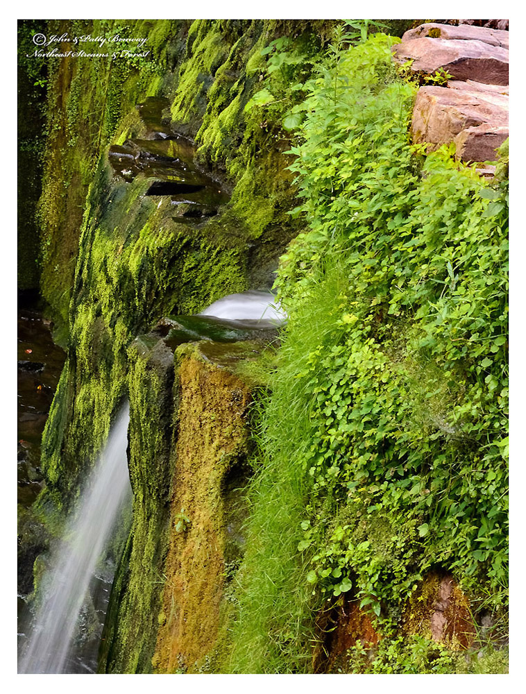 Plotterkill Falls