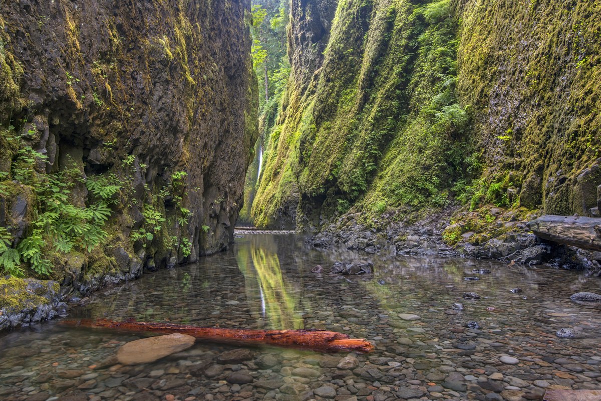 Oneonta Falls