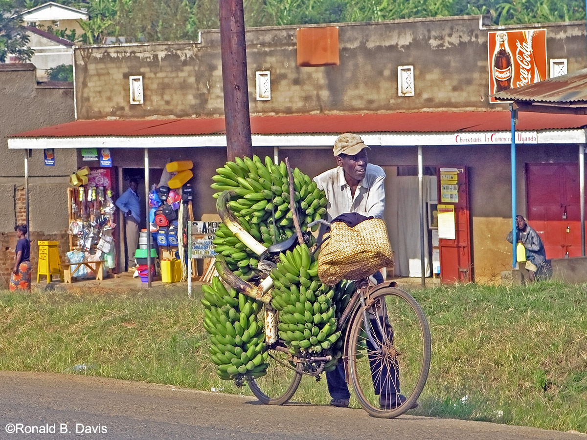 Banana Bike
