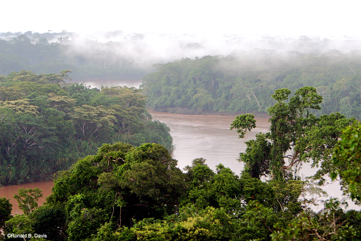 Amazonia