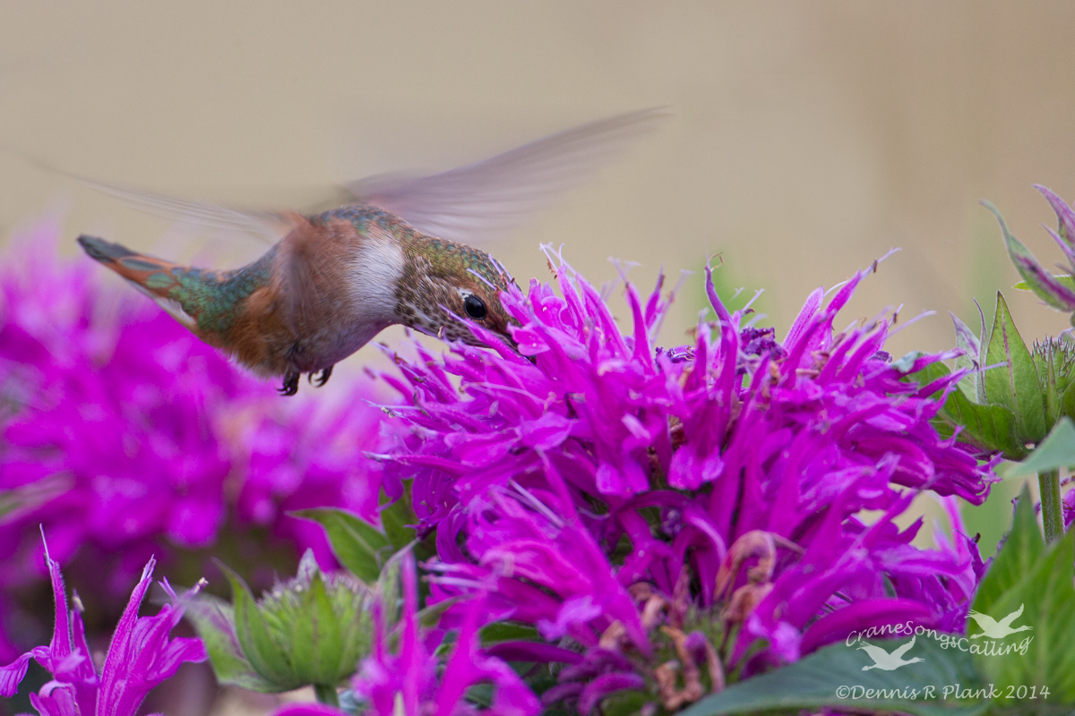 Hovering