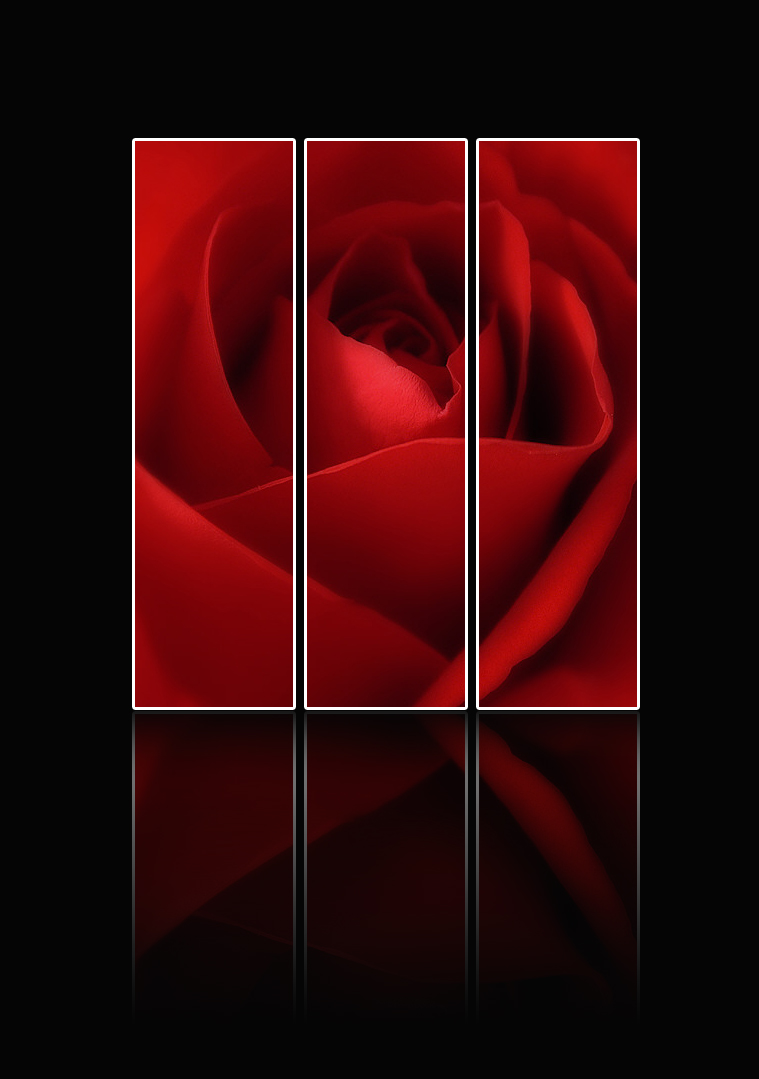 Rose Triptych