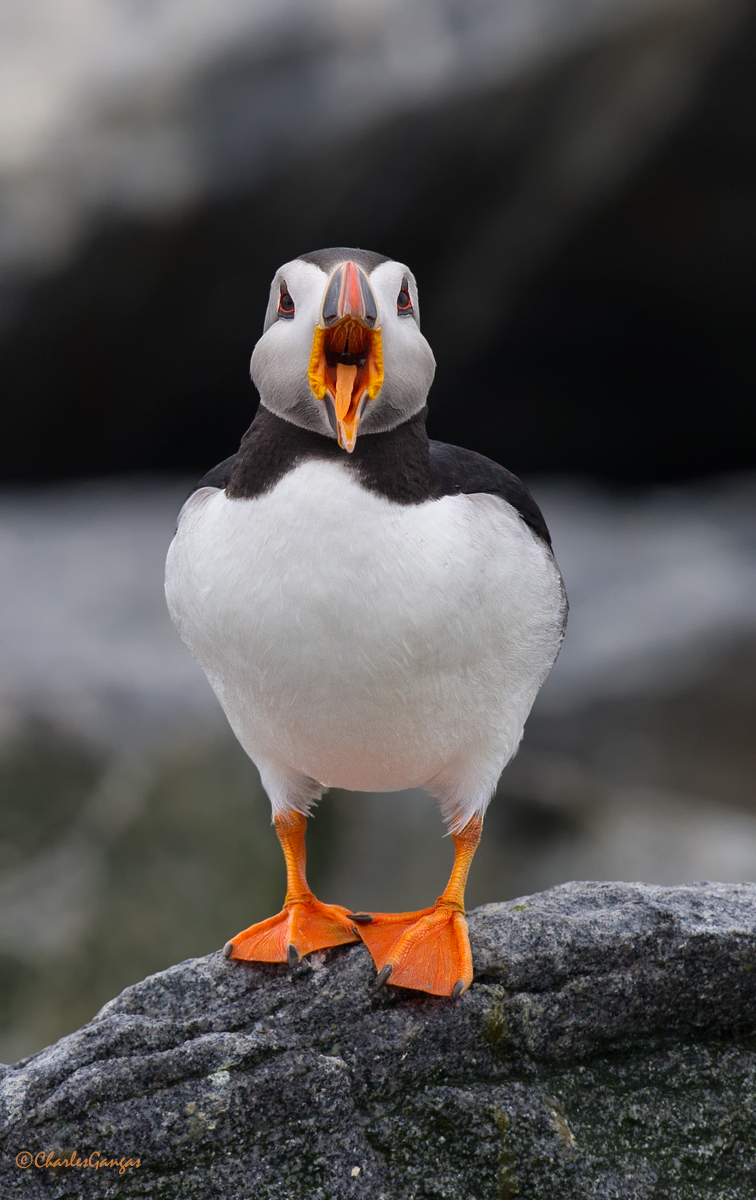 Hey!!!