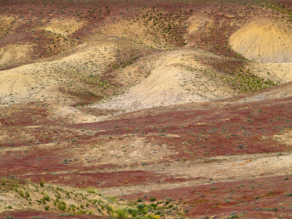 Whipsaw Flat