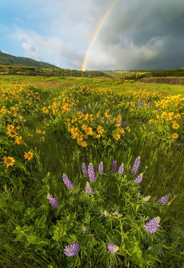 Pot of gold.