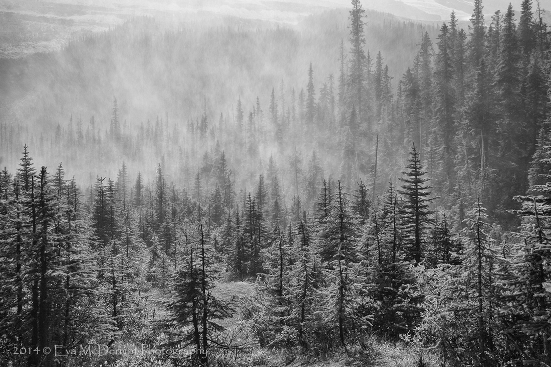 Takakkaw Falls Mist