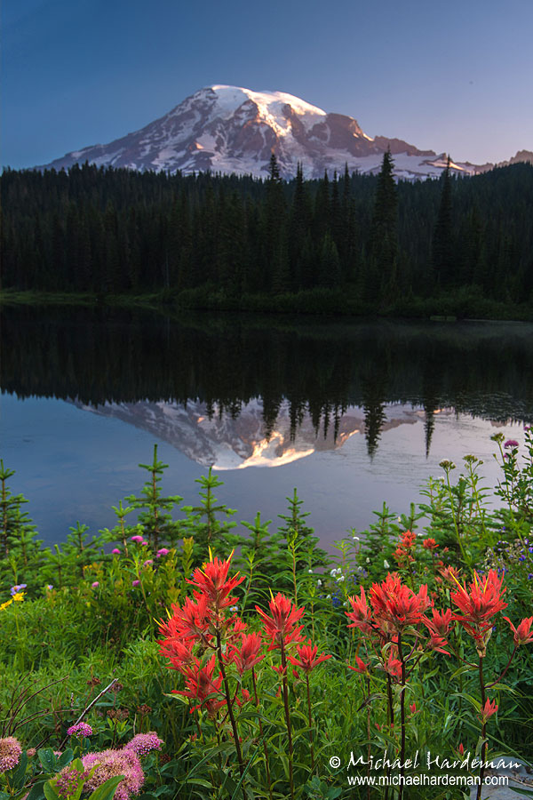 Return to Reflect