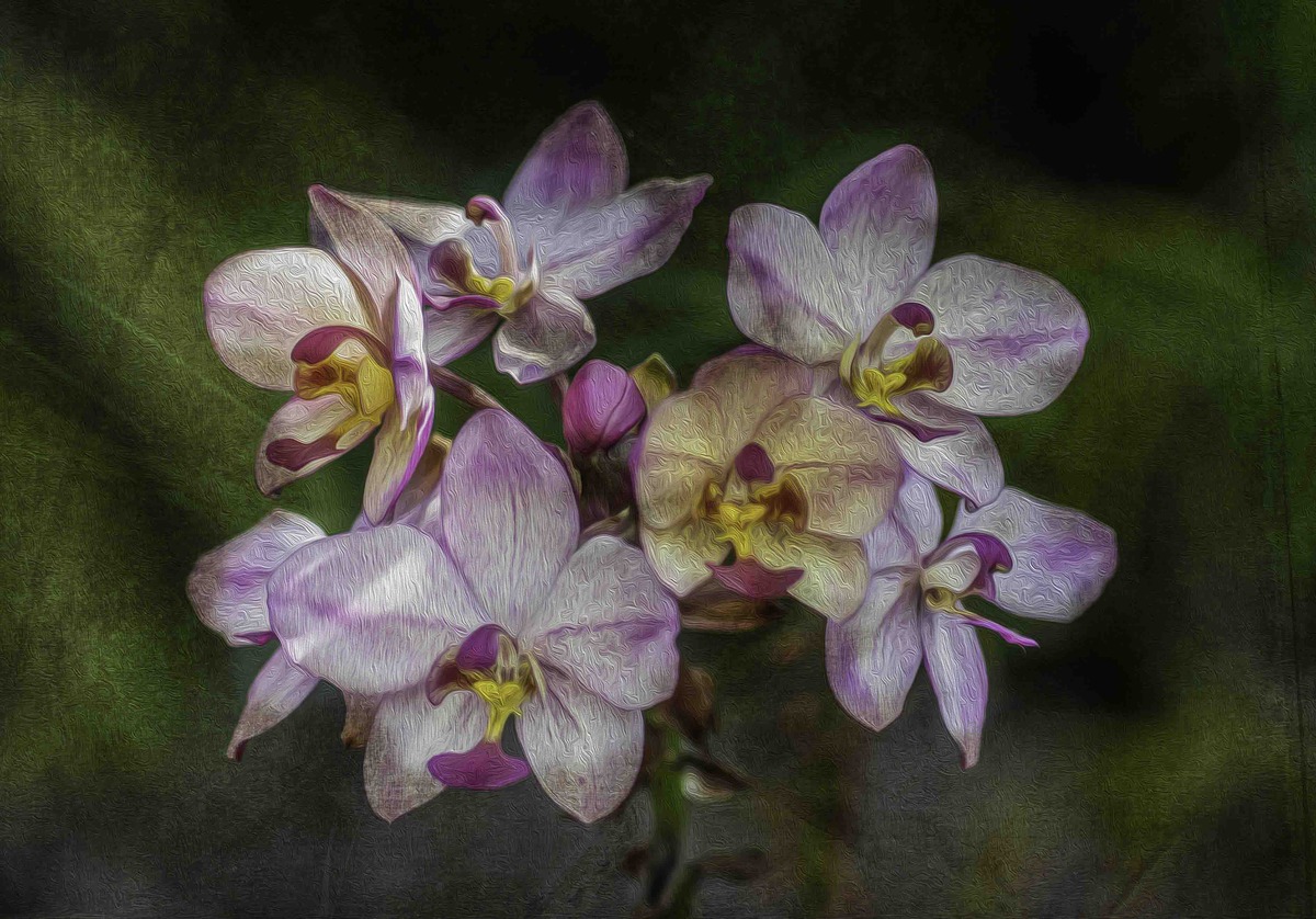 Longwood Gardens