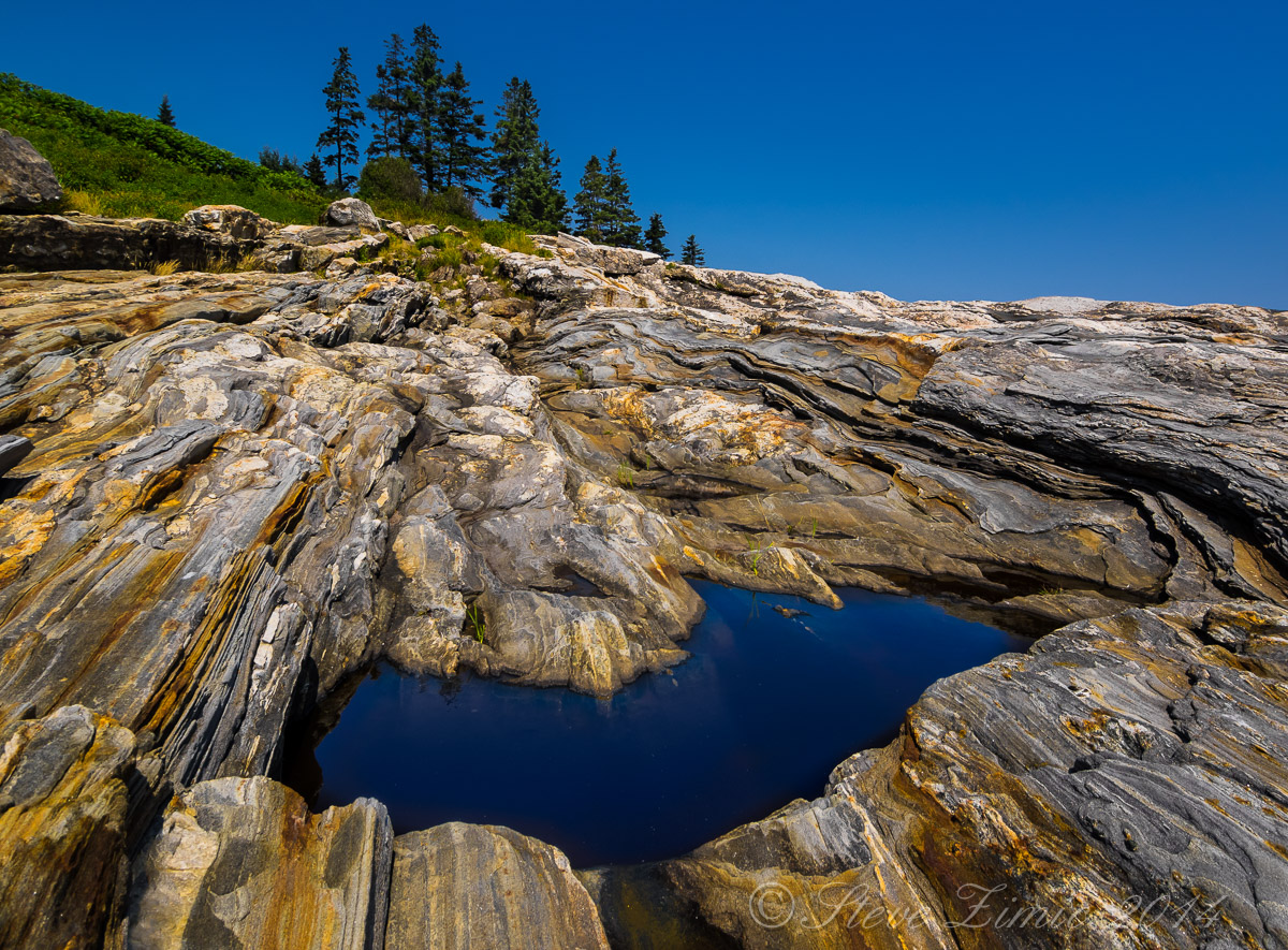 Maine Tidal Pool