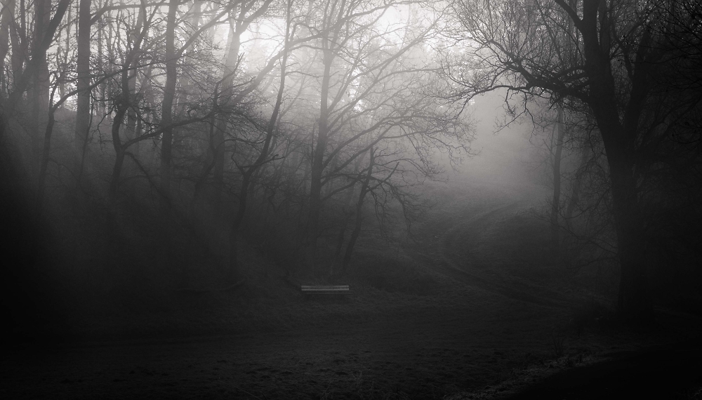 Between the Light