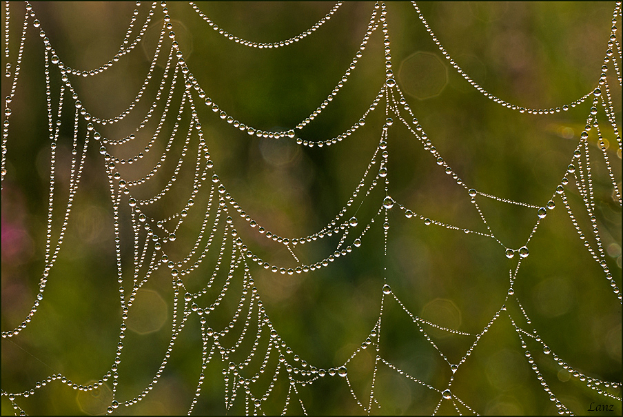 Web 2