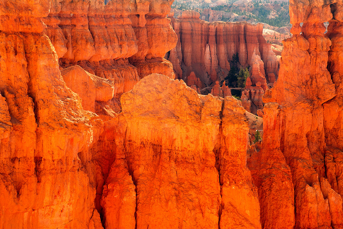 Bryce Window