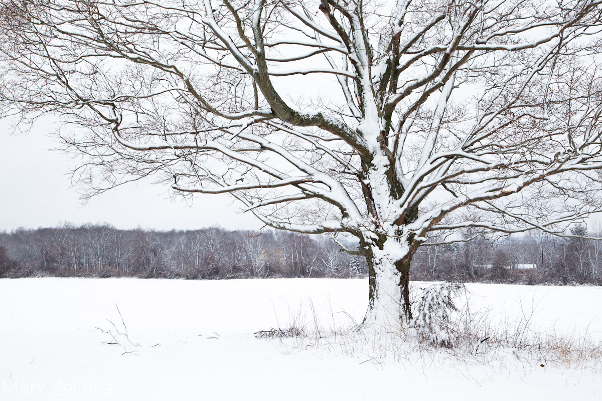 Cherry Hill