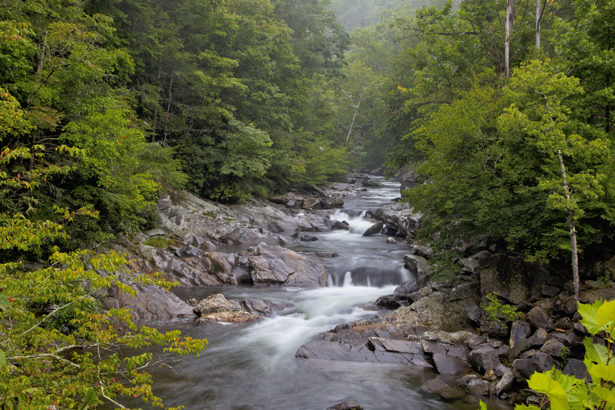 Smoky Mountain Stream