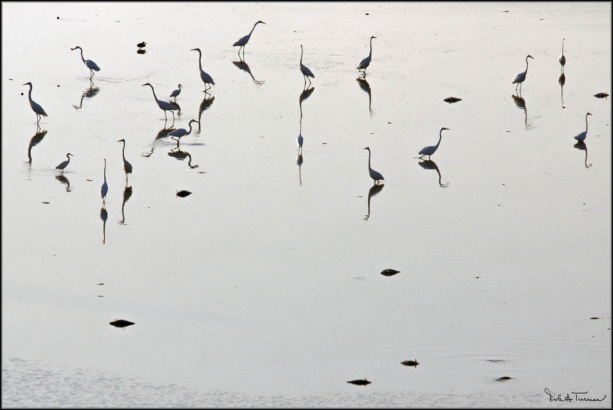 Evaporation Death