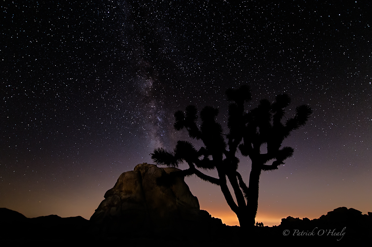 Joshua Tree, CA