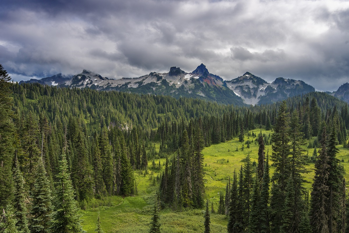 Tatoosh Blues