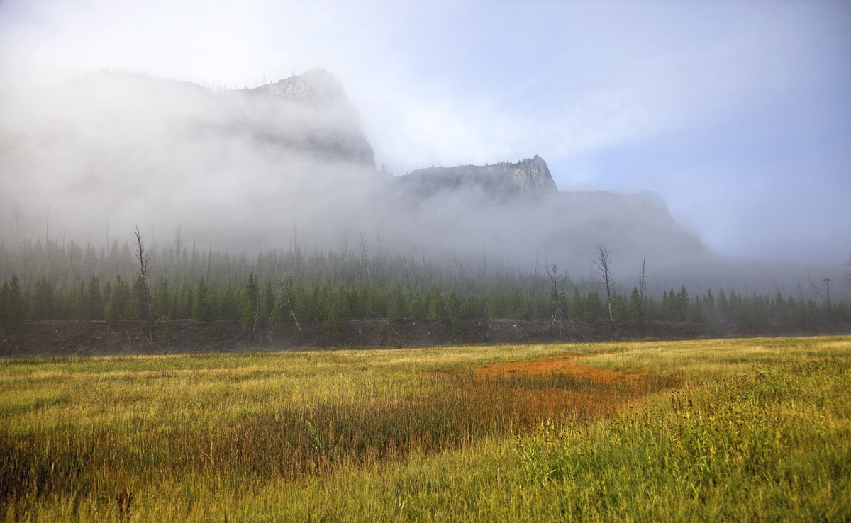 Madison River Morning