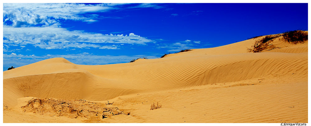 Desert of Altar
