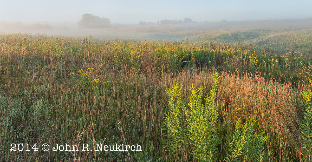 Prairie Solace