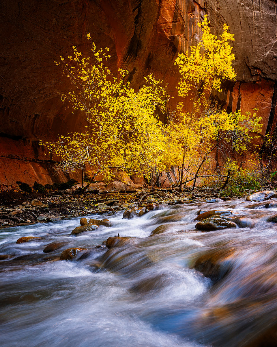 Autumn Beckons