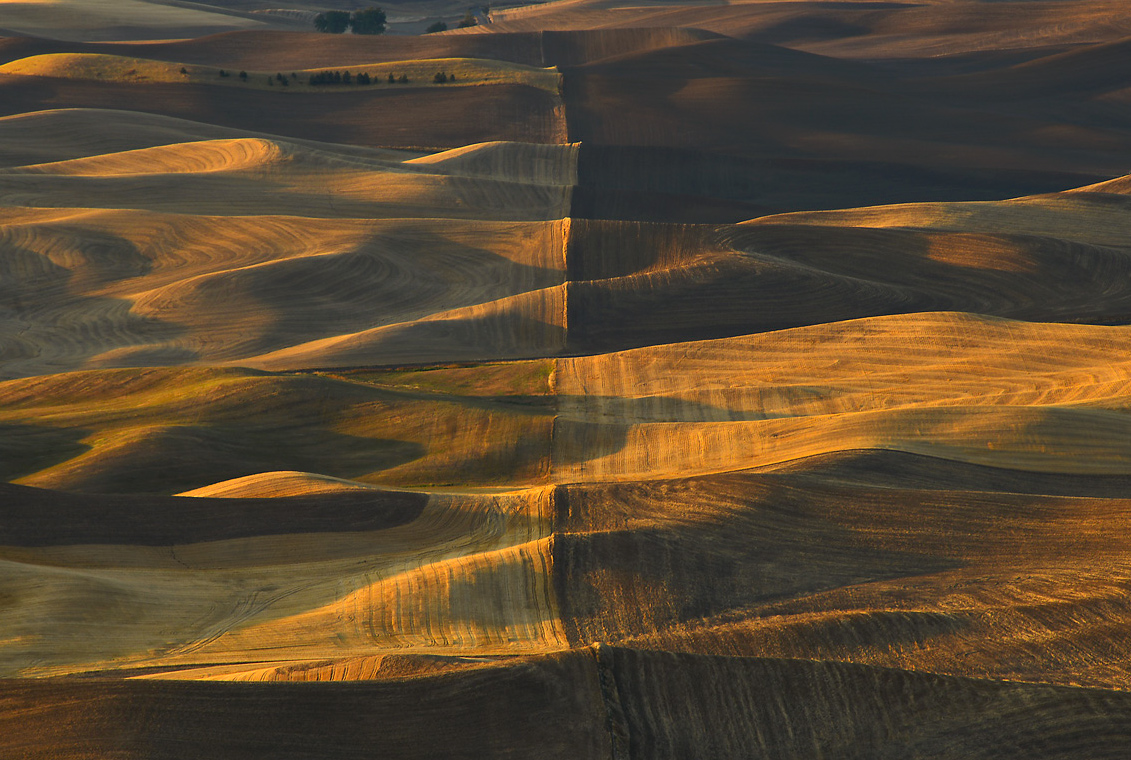 Sunrise Palouse