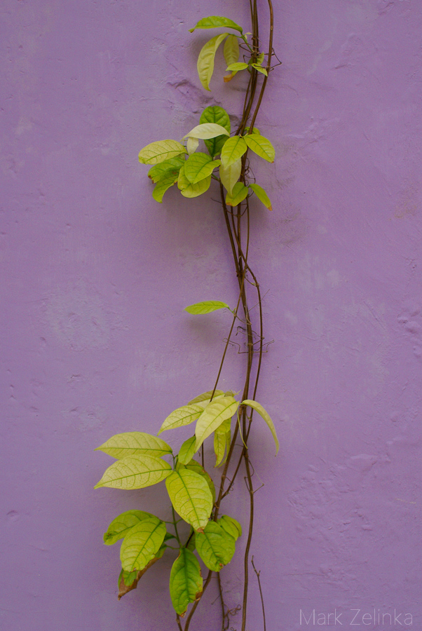 Sidestreet Cartagena