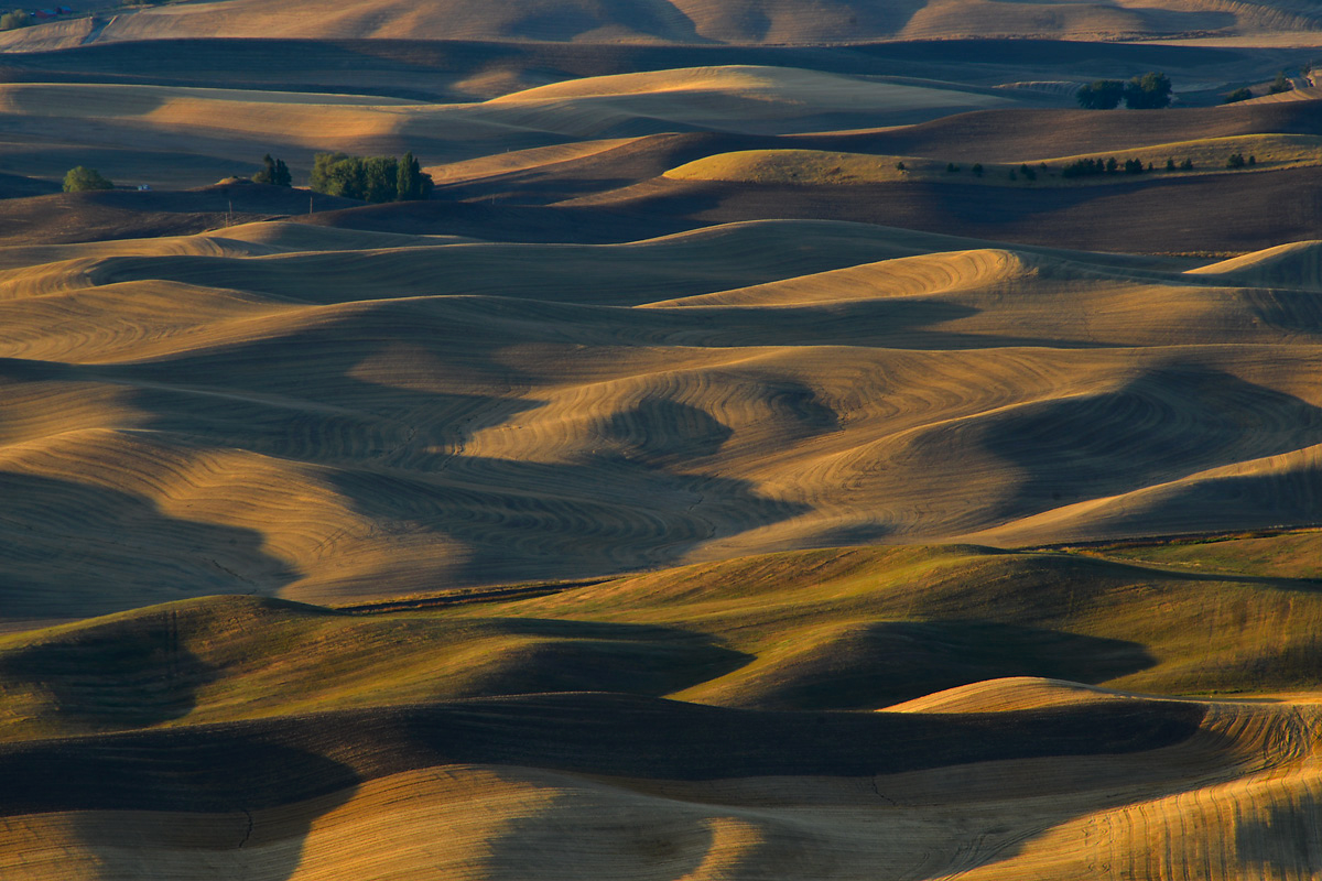 Palouse Autumn