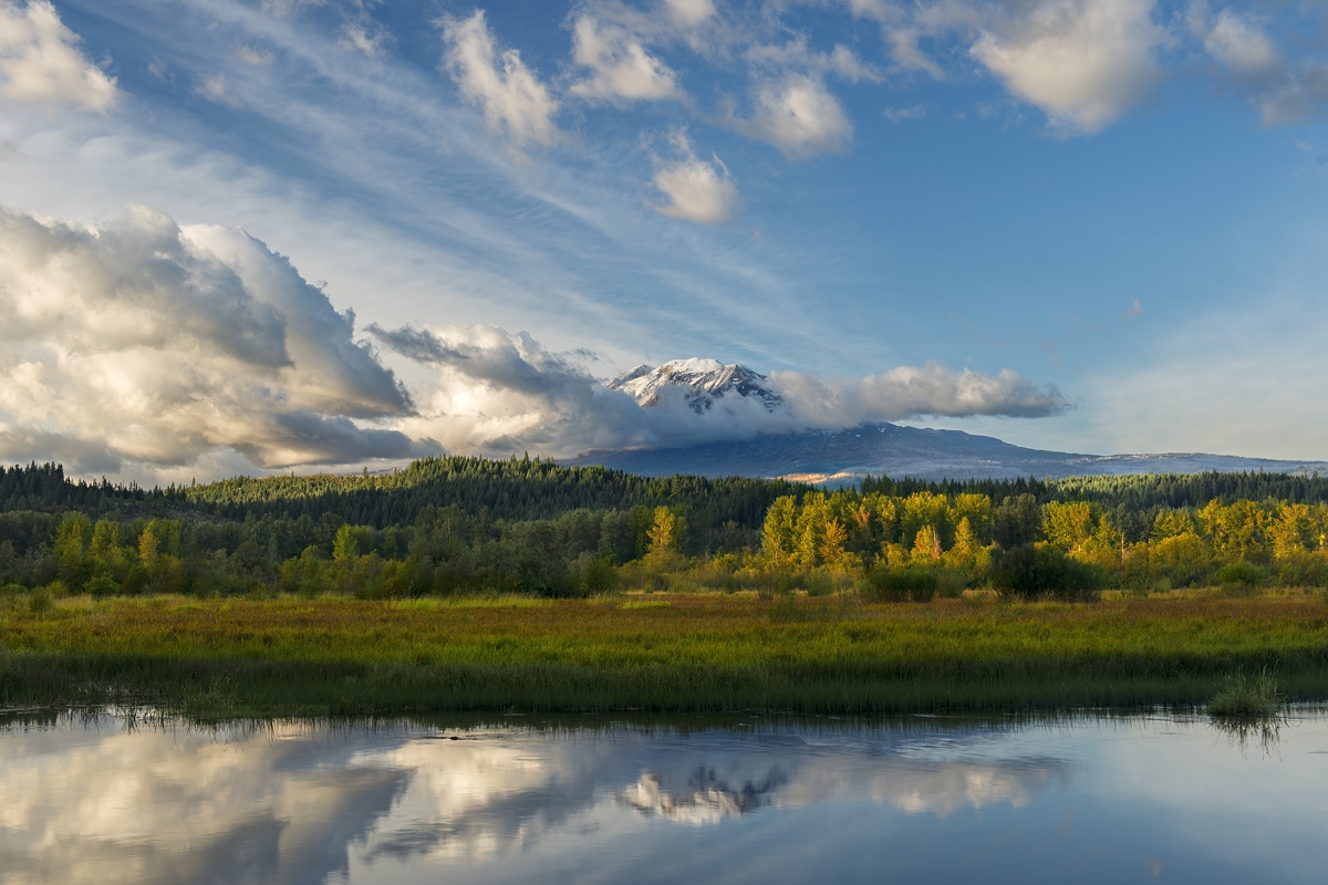 Trout Lake