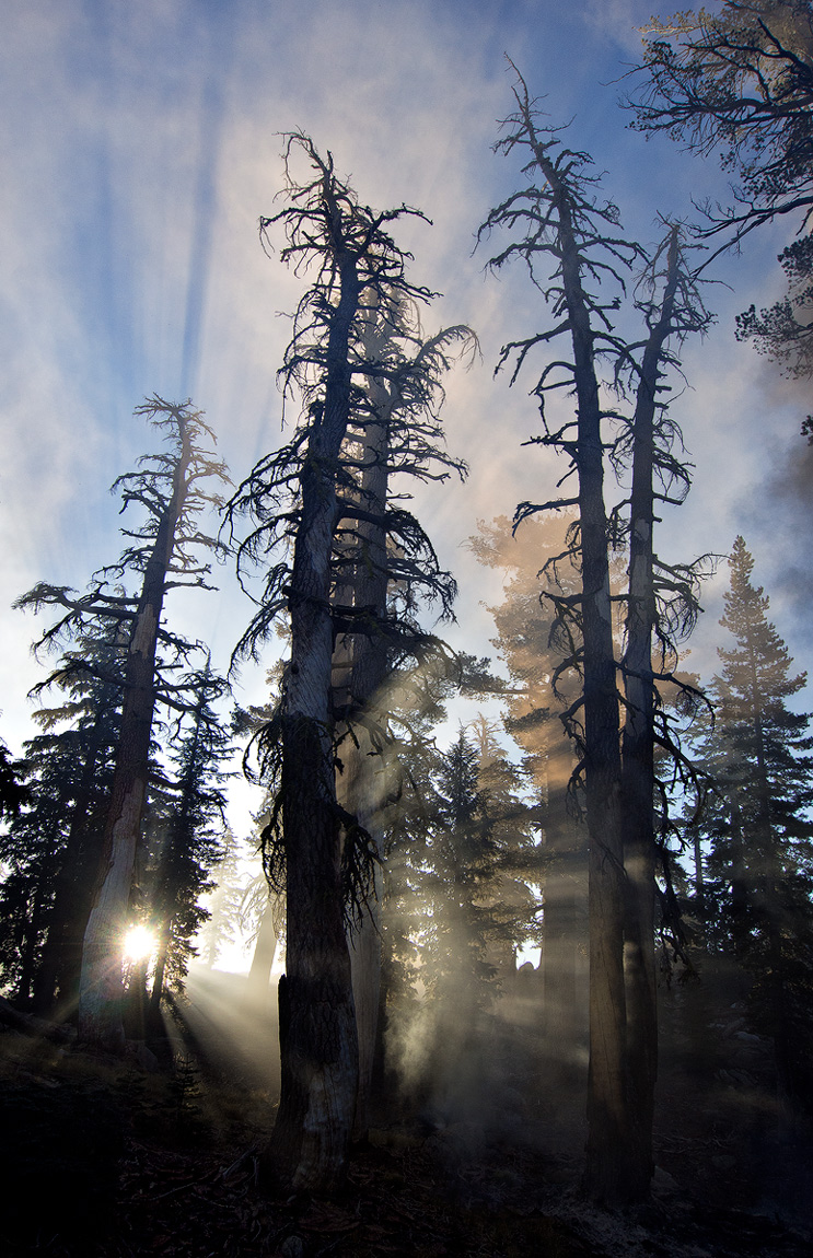 Smoky Morning