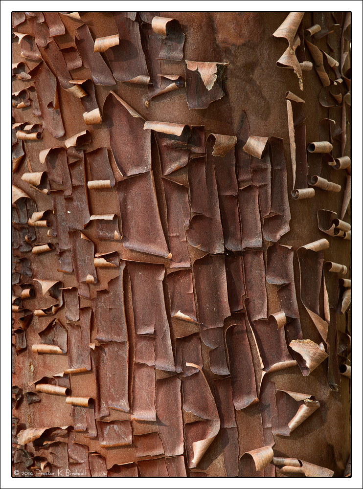 A Peeling #3