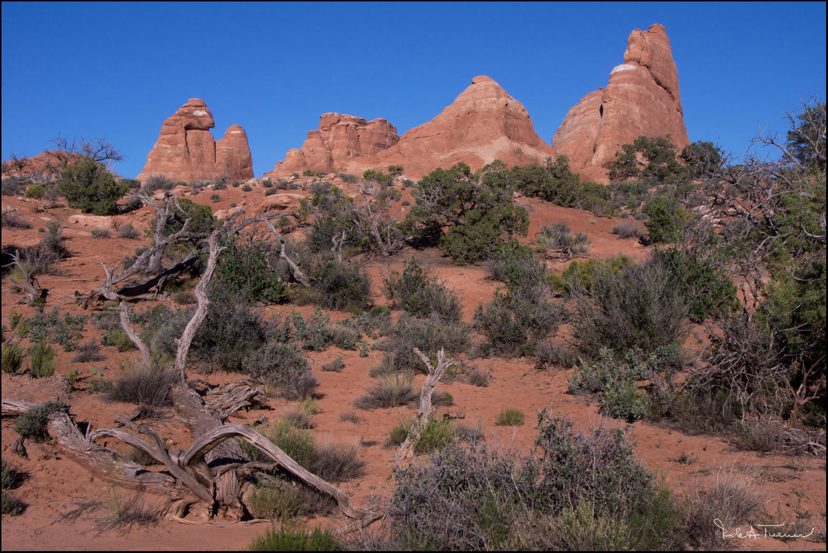 Arches National 