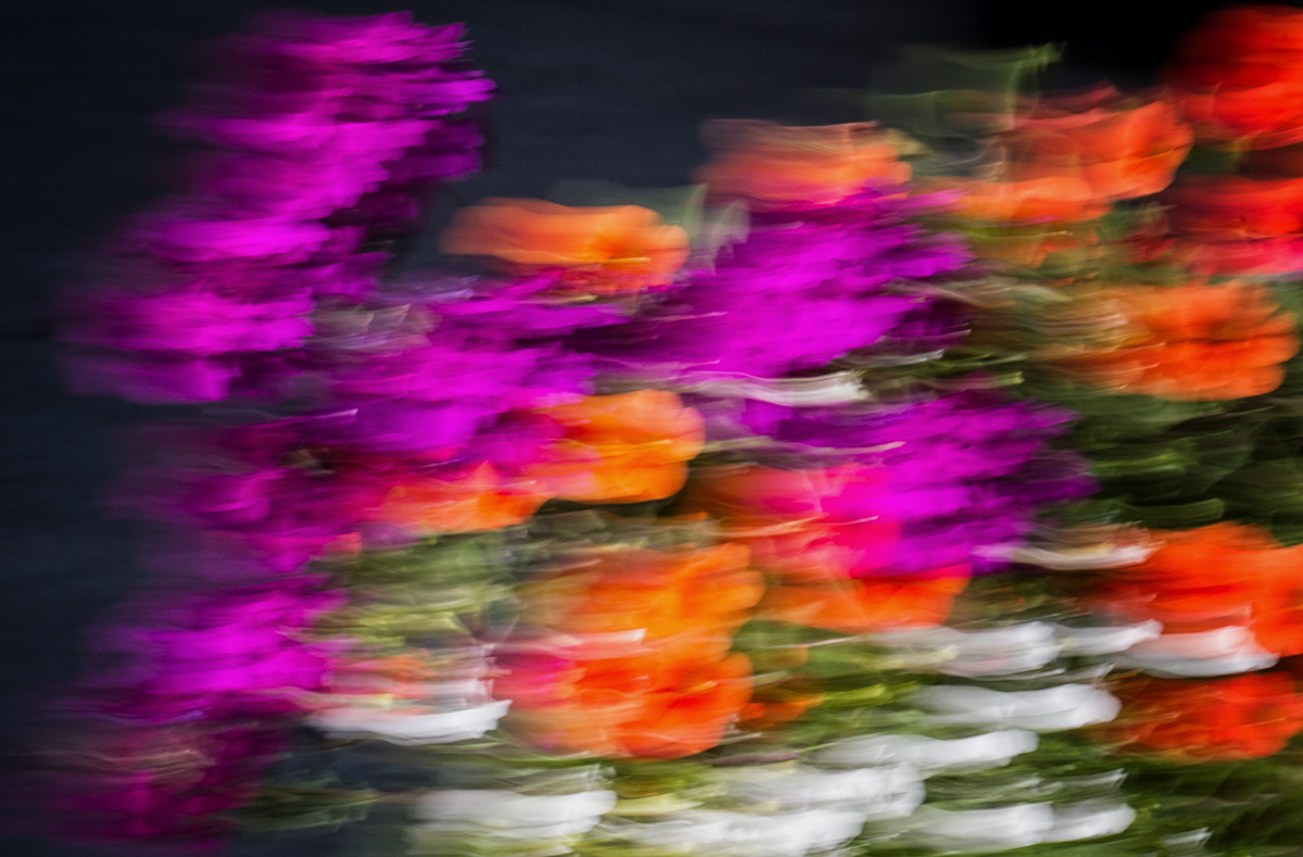 WC-654 Floral Motion