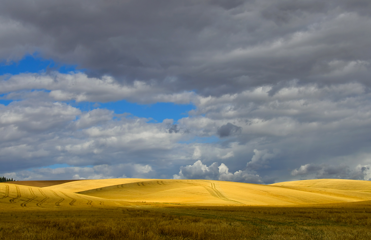 Angry Skies over Palouse