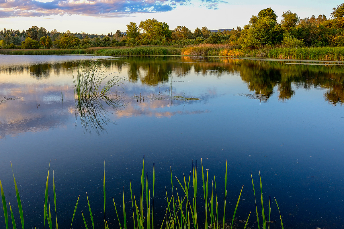 North Sierra Pond & Repost