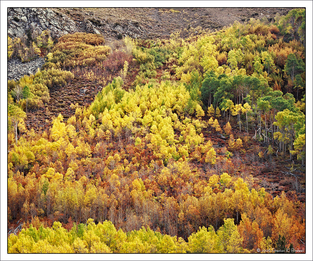 Bishop Creek Morning + rp