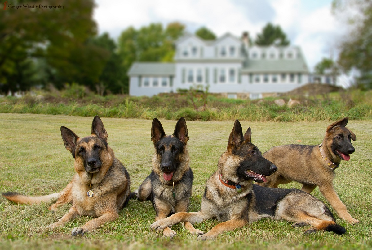 Family Portrait