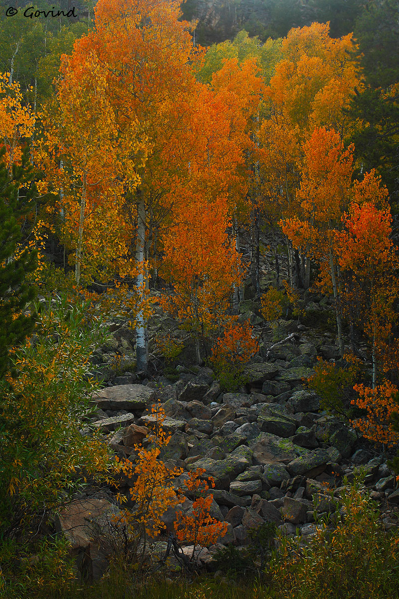 Wasatch Fall + Repost